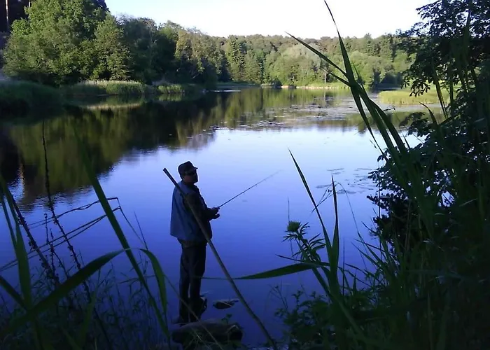 Cozy 2-room Appartement